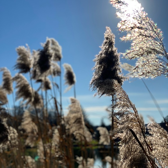 Meet your Posher, Kasia - Picture 1 of 1